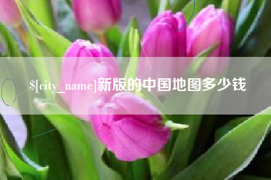 四平新版的中国地图多少钱
