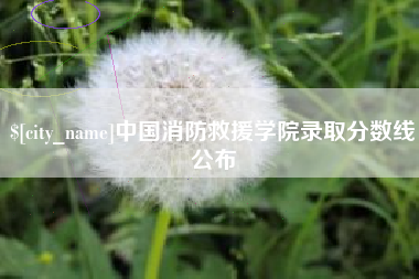 四平中国消防救援学院录取分数线公布