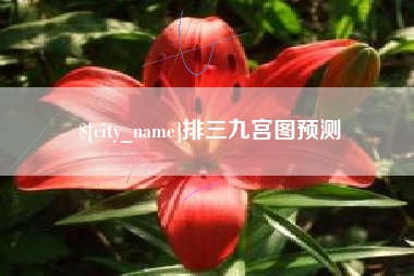 四平排三九宫图预测