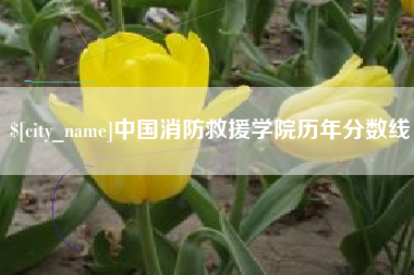 四平中国消防救援学院历年分数线