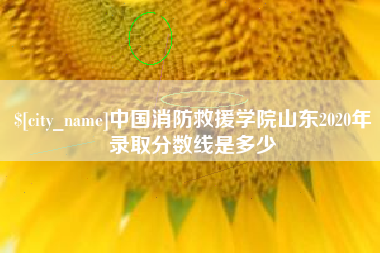 四平中国消防救援学院山东2020年录取分数线是多少
