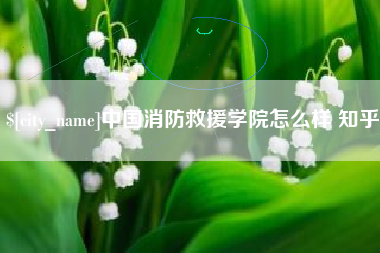 四平中国消防救援学院怎么样 知乎