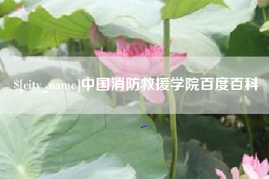 四平中国消防救援学院百度百科