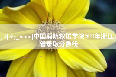 四平中国消防救援学院2021年浙江省录取分数线