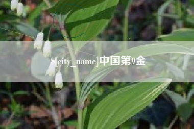 四平中国第9金