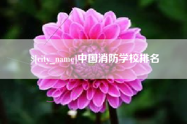 四平中国消防学校排名