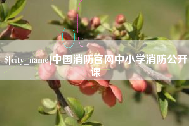 四平中国消防官网中小学消防公开课
