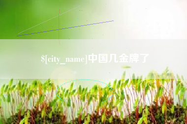 四平中国几金牌了