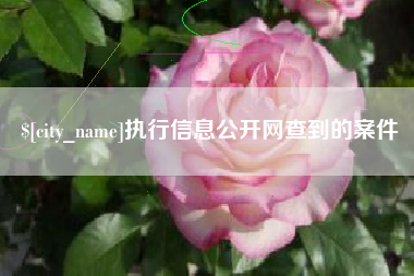 四平执行信息公开网查到的案件