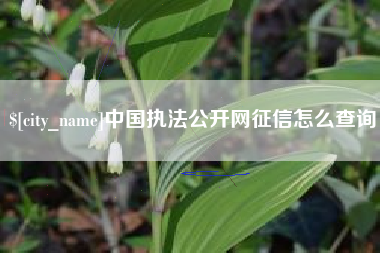 四平中国执法公开网征信怎么查询