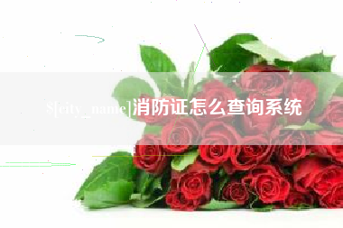 四平消防证怎么查询系统