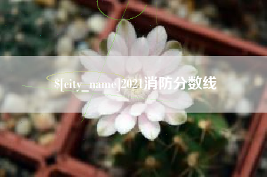 四平2021消防分数线