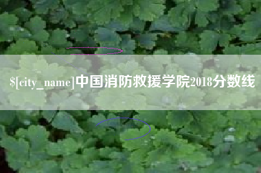 四平中国消防救援学院2018分数线