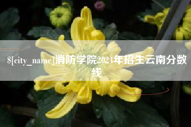 四平消防学院2024年招生云南分数线