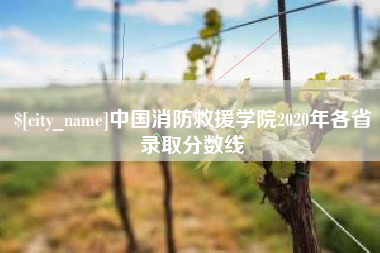 四平中国消防救援学院2020年各省录取分数线