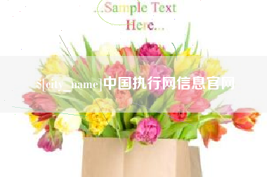 四平中国执行网信息官网
