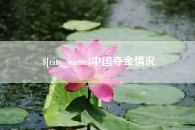 四平中国夺金情况