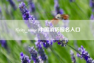 四平中国消防报名入口