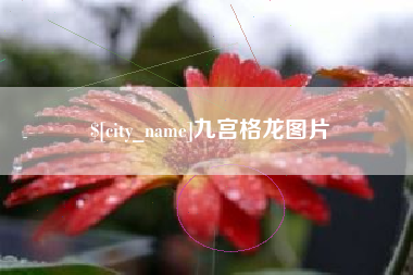 四平九宫格龙图片