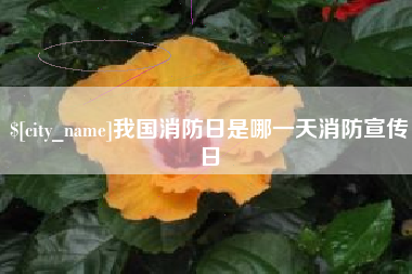 四平我国消防日是哪一天消防宣传日