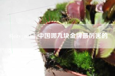 四平中国哪九块金牌最厉害的
