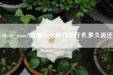 四平诈骗冻结对方银行卡,多久返还
