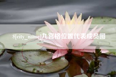 四平九宫格位置代表成员图