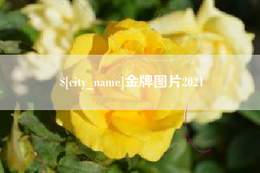 四平金牌图片2021