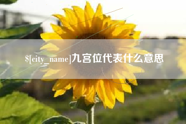 四平九宫位代表什么意思