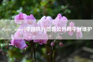 四平中国执行信息公开网平台维护