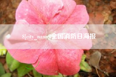 四平全国消防日海报