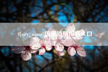 四平国家消防报名入口