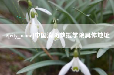 四平中国消防救援学院具体地址