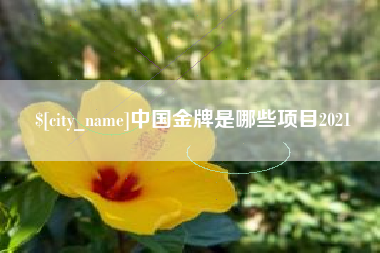 四平中国金牌是哪些项目2021