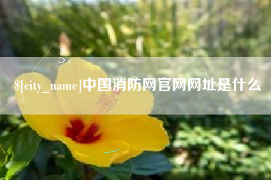 四平中国消防网官网网址是什么