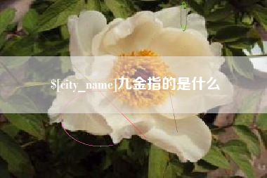 四平九金指的是什么