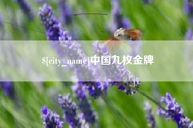 四平中国九枚金牌