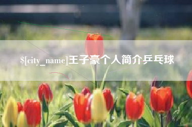 四平王子豪个人简介乒乓球