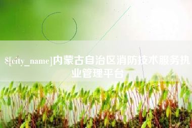 四平内蒙古自治区消防技术服务执业管理平台