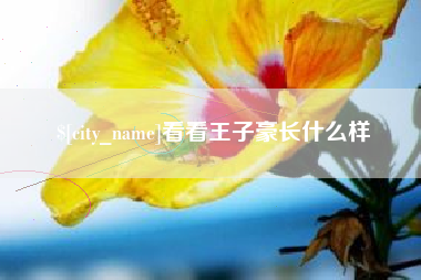 四平看看王子豪长什么样