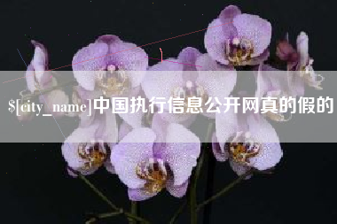 四平中国执行信息公开网真的假的