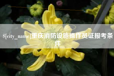 四平重庆消防设施操作员证报考条件