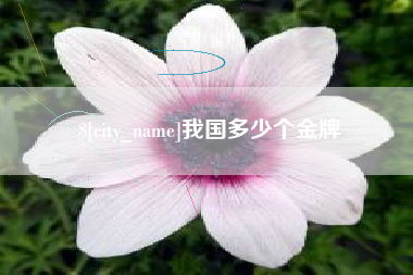 四平我国多少个金牌