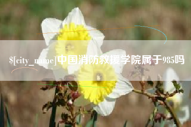 四平中国消防救援学院属于985吗