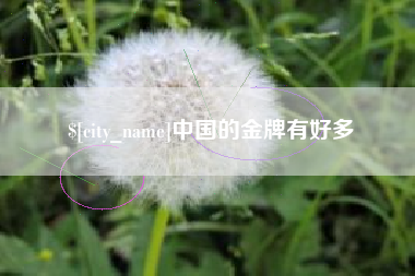 四平中国的金牌有好多