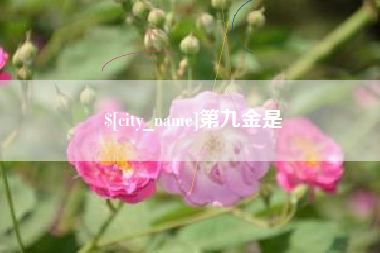 四平第九金是