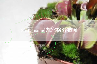 四平九宫格分布图