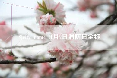 四平11月9日消防日全称