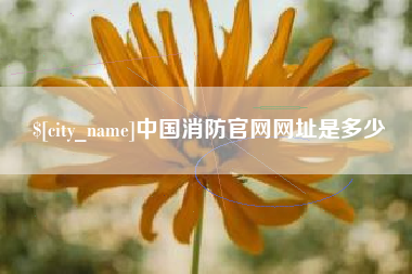 四平中国消防官网网址是多少