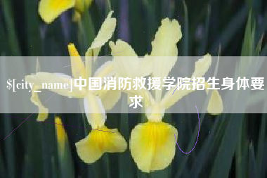四平中国消防救援学院招生身体要求